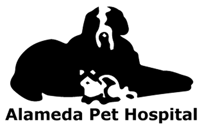 https://alamedablazefastpitch.teamsnapsites.com/wp-content/uploads/sites/796/2024/02/Alameda_Pet_Hospital_logo_small.png